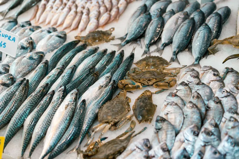 Gone Gill and Guts: The Last Fishmongers and the High Street That Turned Its Back on Them